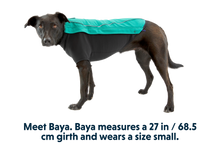 Load image into Gallery viewer, Cloud Chaser™ Dog Jacket