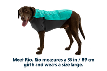 Load image into Gallery viewer, Cloud Chaser™ Dog Jacket