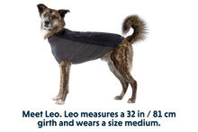 Load image into Gallery viewer, Cloud Chaser™ Dog Jacket