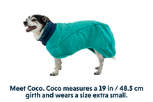 Load image into Gallery viewer, Dirtbag™ Dog Towel