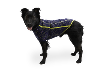 Load image into Gallery viewer, Climate Changer™ Dog Fleece