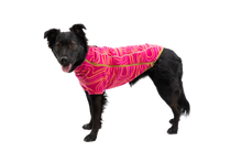 Load image into Gallery viewer, Climate Changer™ Dog Fleece