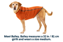 Load image into Gallery viewer, Climate Changer™ Dog Fleece