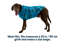 Load image into Gallery viewer, Climate Changer™ Dog Fleece