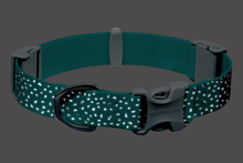 Load image into Gallery viewer, Confluence™ Waterproof Dog Collar