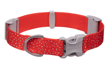 Load image into Gallery viewer, Confluence™ Waterproof Dog Collar