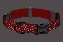 Load image into Gallery viewer, Confluence™ Waterproof Dog Collar