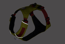 Load image into Gallery viewer, Hi &amp; Light™ Lightweight Dog Harness