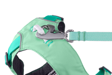 Load image into Gallery viewer, Hi &amp; Light™ Lightweight Dog Harness