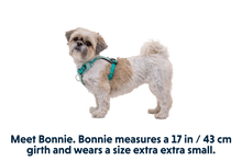 Load image into Gallery viewer, Hi &amp; Light™ Lightweight Dog Harness