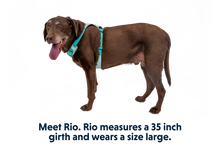 Load image into Gallery viewer, Hi &amp; Light™ Lightweight Dog Harness