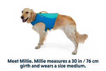 Load image into Gallery viewer, Float Coat™ Dog Life Jacket