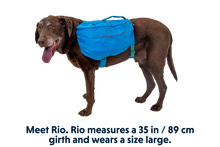 Load image into Gallery viewer, Approach™ Dog Backpack