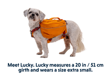 Load image into Gallery viewer, Approach™ Dog Backpack