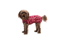 Load image into Gallery viewer, Climate Changer™ Fleece Vest