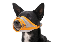 Load image into Gallery viewer, BackTrak™ Dog Evacuation Kit