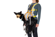 Load image into Gallery viewer, BackTrak™ Dog Evacuation Kit