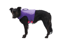 Load image into Gallery viewer, Float Coat™ Dog Life Jacket